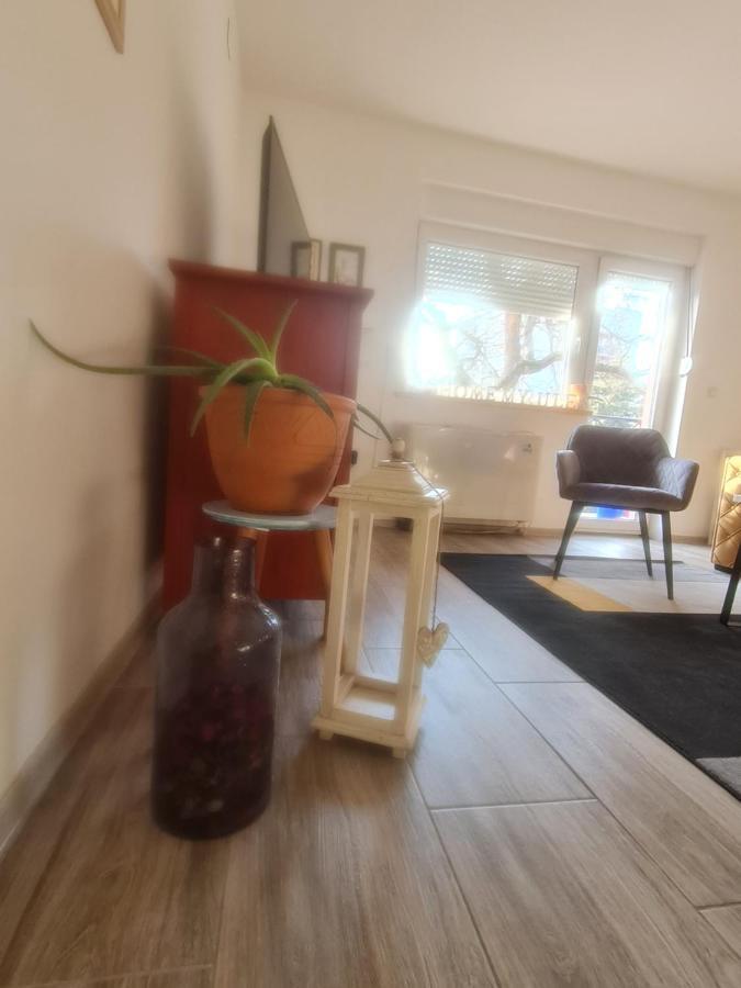 Apartman Karibo 松博尔 外观 照片